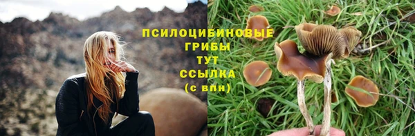 спиды Алзамай