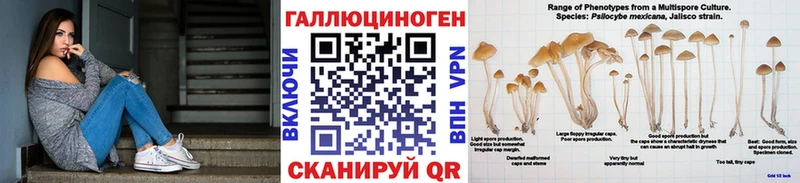 Псилоцибиновые грибы прущие грибы  Боровичи 